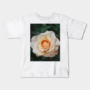 White rose blossom with bright yellow center Kids T-Shirt